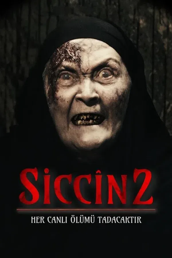 Poster phim Lời Nguyền Sijjin 2 trên Motchill